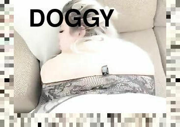 Bbw doggystyle...Youre welcome