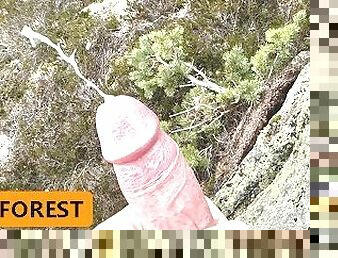 Cum in Forest