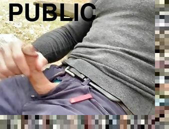 Public jerking-off on a bench at the park