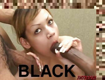 These Two Black Brothas Get Cock Sticky With Honey With Tina Price And Shane Diesel