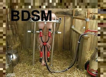 Jade Samantha - Speed Milking