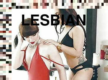 anjing, pondan, menghisap-zakar, zakar-besar, lesbian, pondan-tranny, hubungan-sex