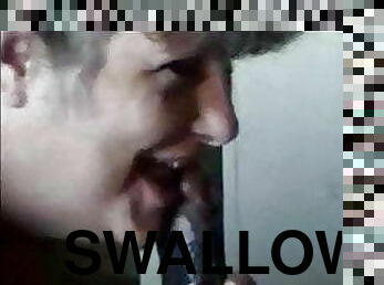 BBW Swallow BBC