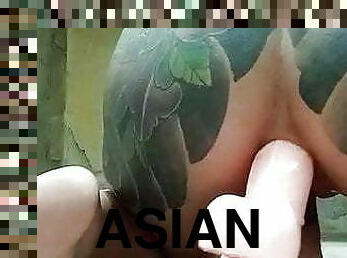 asiático, tetas-grandes, masturbación, mayor, anal, juguete, tailandés, 18-años, vieja, morena
