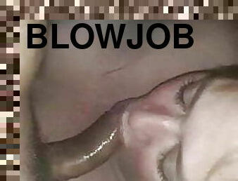 Bbw Blowjob