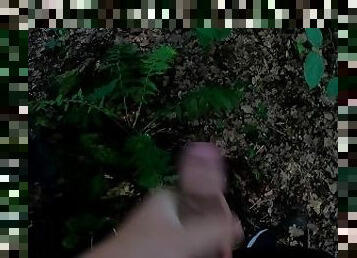 Teen Boy Jerking off and cum in The Forest