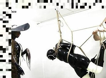 Toolflogged &amp; Suspended