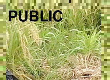 Public Peeing On A Rice Farm... Dablackpee