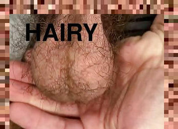 Fat hairy cock show off