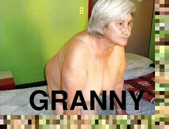 волохата, прихильник, бабуся-granny, збірник
