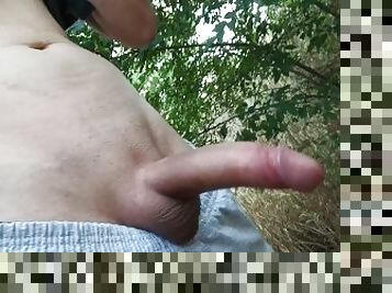 masturbation, gay, branlette, première-fois, solo, bisexuels, forêt, minet