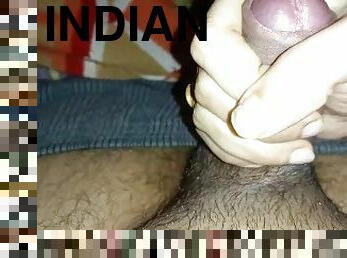 Sexy Indian girlfriend teasing handjob - pure hindi talk