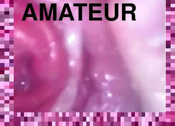 masturbación, amateur, anal, regordeta, fetichista, a-solas