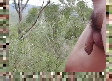 Naked bush walk and piss in creek