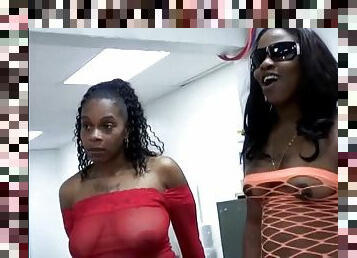 mamada, negra-ebony, hardcore, estrella-del-porno, paja, vintage, negra, culazo