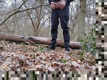 Naughty Twink Wanks In Woods Quickly To Not Being Seen