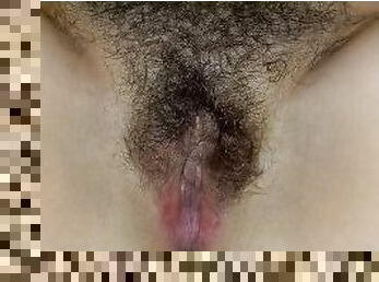 Indonesian hairy