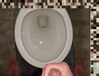 Toilet cum dump