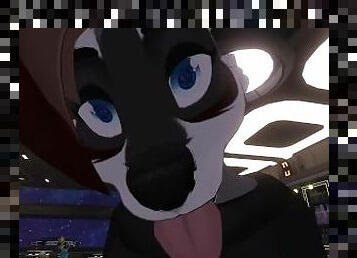 Furry Raccoon Girl Kisses You