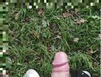 Jerking off in public park