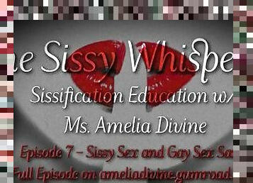 Sissy Sex and Gay Sex Same  The Sissy Whisperer Podcast